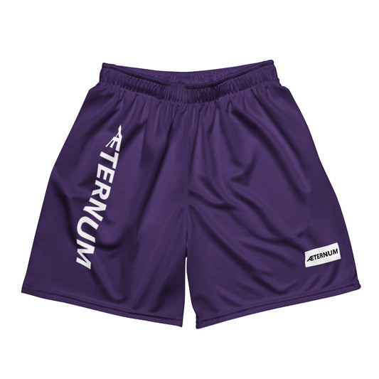 Mesh Shorts (Purple)